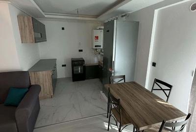 APARTAMENT 2 CAMERE| 2023 |THEODOR PALLADY | 53MP - 2