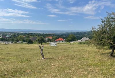Teren Construcții intravilan de 11700 mp, în Baia Sprie
