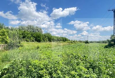 Teren agricol intravilan de 9300 mp, în Dorohoi