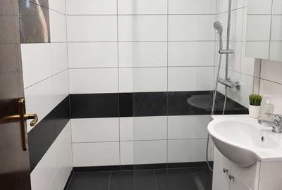 Ozana Titan, Auchan, Parcul Teilor, renovat, mobil, posibil centrala, AC, metrou - 7