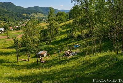 Teren Breaza 7000Mp intravilan - Valea Tarsei - 2