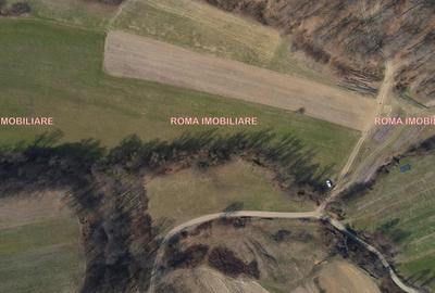 Teren superb de vânzare în Dumbrăvița – 3.750 mp - 9