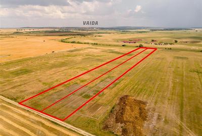 RECO teren extravilan ideal pentru balastiera in Rosiori - 3