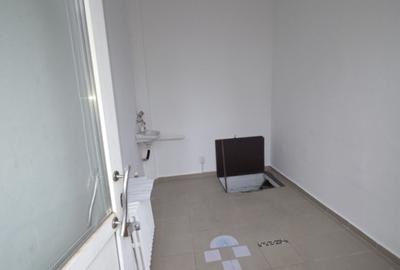 Inchiriere Spatiu Comercial Vasile lascar Dacia - 2