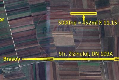 Teren agricol extravilan de 5000 mp, în Tărlungeni