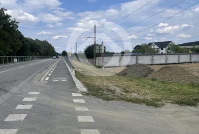Teren intravilan constructii 6668 mp - Rasinari, Sibiu - 7