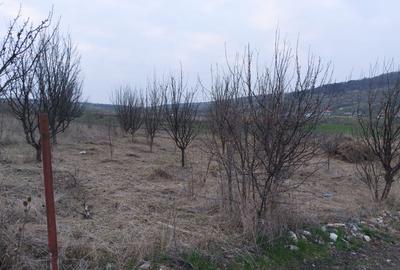 Vand Teren Intravilan Cluj Napoca Fara PUZ Valea Fanatelor - 1