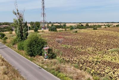 Teren 8.648 mp | Intravilan + extravilan | Deschidere 21 m | Mosteni - 10