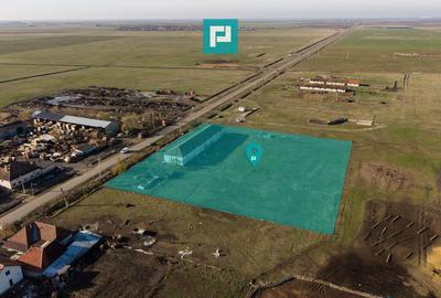 Hală industrială cu teren generos în Zărand, Arad - 2