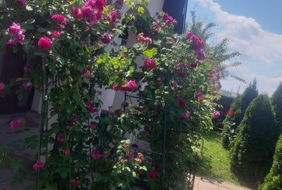 Casă cu 4 camere în Breazu