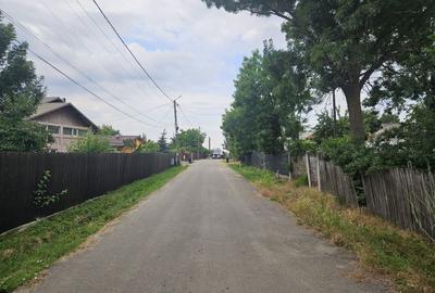 Teren pentru casa Izvoru, gaze, apă, canal, curent, central - 8