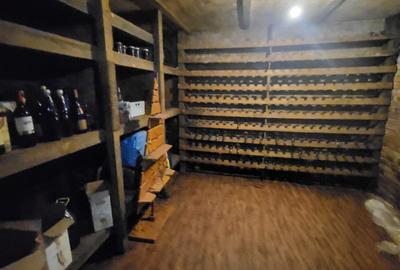 CASA P+1 ÎN BALOȚEȘTI – LÂNGĂ PĂDURE, TEREN 700 MP, LIVADĂ, CRAMĂ, BECI ȘI CURTE - 18