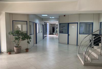 Ansamblu de spatii de productie /depozitare si birouri - 7