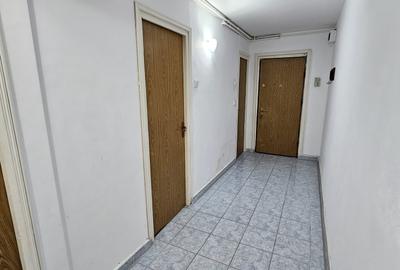 Baba Novac/Dristor/Centrala Prorpie/Ap 2 Camere decomandat/ - 13