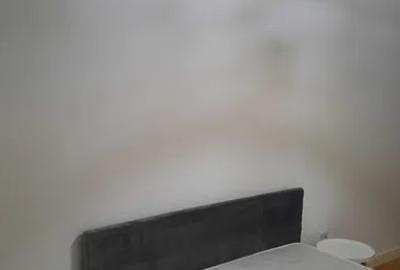 Apartament cu 2 camere in Tatarasi-Himson,bloc nou - 10