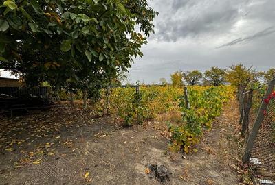 Casa de vanzare Odobesti, 3 camere, teren 1.000 mp, zona de vile - 5
