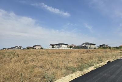 Teren Construcții intravilan de 8000 mp, în Lazu
