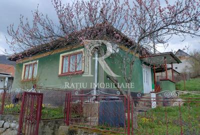 Casă individuală cu 2 camere în Măgura-Toplița