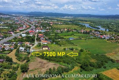 TEREN 7500 MP PRETABIL DEZVOLTARE REZIDENTIALA - 2