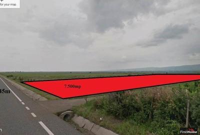 Teren extravilan spre Bolotesti - 1