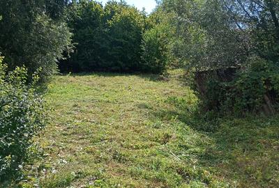 Casa Moreni 270 mp jud. Neamt - 4