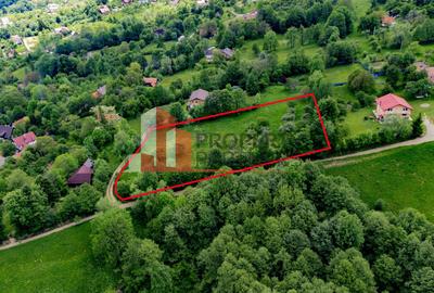 Teren Construcții intravilan de 6273 mp, în Bran