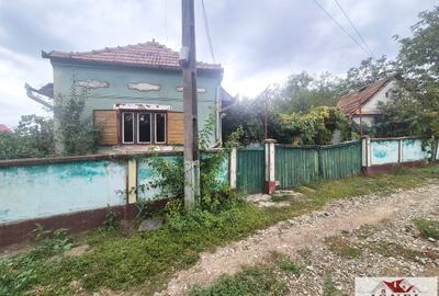 Casa veche de vanzare in Ohaba - 2