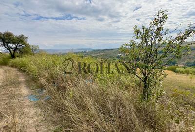 Teren 4.000 mp | Front Generos 47 ml | Utilități | La Asfalt | Cricău - 9