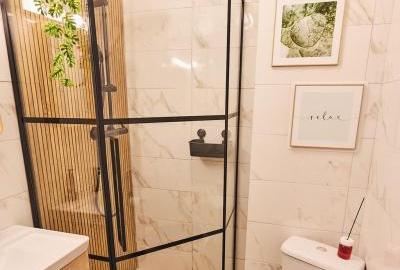 Garsoniera Pet friendly Gara de Nord Prima inchiriere - 10