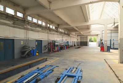 Hală industrială 1.168 mp | Adjud | Producție • Service • Logistică - 10