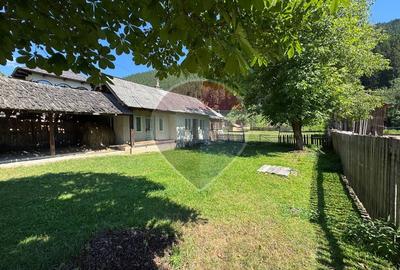 De vanzare | Teren 5412mp , Scoala Sabasa | Borca | Neamt - 11