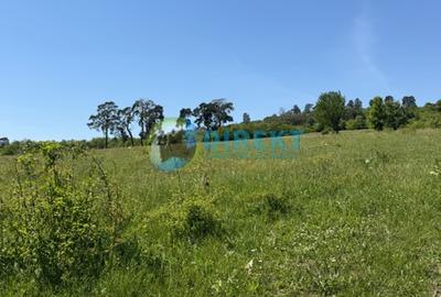 Teren intravilan , zona Drumul Tarpiului . - 4