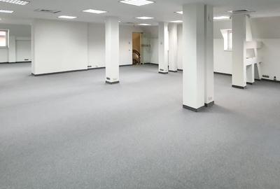 Vila cu prestanta zona Capitale Guvern, renovata integral, lift, parcare proprie - 6