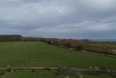 Teren intravilan 5800 mp Mitocasi - Suceava! - 10