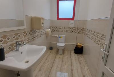 Bragadiru,parter, stradal, 360 m.p, comercial, depozitare, showroom. - 17