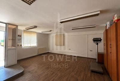 Spații de birouri-Zona de Vest - 6