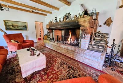La Dolce Vita-casa vintage/moderna-Somesul Rece - 4
