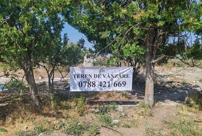 Teren agricol intravilan de 9795 mp, în Rădoiești
