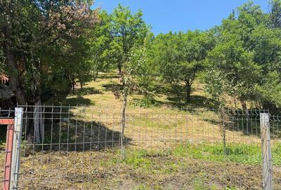 Teren Valea Doftanei, Tesila, utilitati la strada, padure in spate - 5