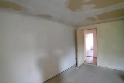 Casa Moreni 270 mp jud. Neamt - 7