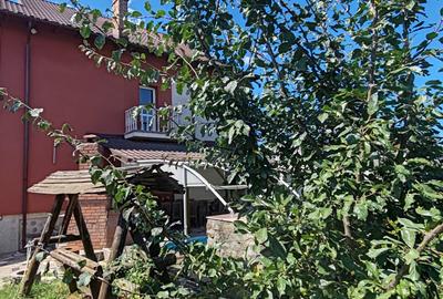 CASA ROMANEASCA IN VECHEA CETATE DE SCAUN - LANGA MANASTIREA CURTEA DE ARGES - 13