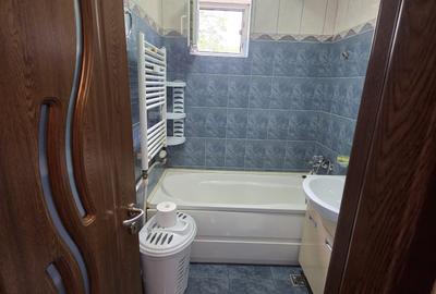 Inchiriere apartament 2 camere - Piata Resita-Ideal activitate profesionala - 18