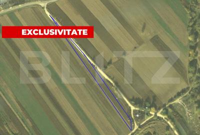 Teren agricol intravilan de 4300 mp, în Vințu de Jos