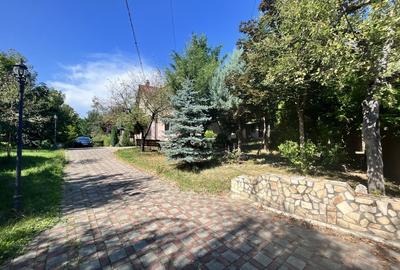 Conacul Mura în Baile Olanesti, O Bijuterie Naturală - 8