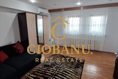Apartament de inchiriat zona Calea Bucuresti-Piata Mare - 11