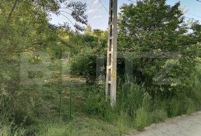 Teren agricol intravilan de 14400 mp, în Gemenea-Brătulești