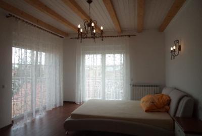 Penthouse LUX, vila, Terasa, Calea Dumbravii - 9
