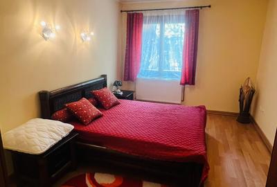 VILĂ ELEGANTĂ DE VÂNZARE LÂNGĂ BĂILE HERCULANE - 10