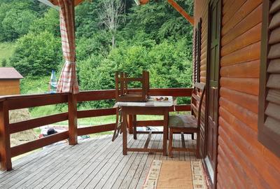 Casă de vacanță de vânzare în Feneșasa, Jud Alba | 125 mp utili | Teren 3.220 m - 6