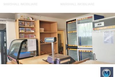 Casa cu 5 camere de vanzare in Nevesteasca, 42.5 mp #17251 - 2